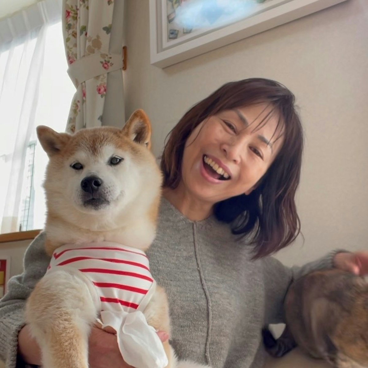 Zora Kabosumama S Nft Collection